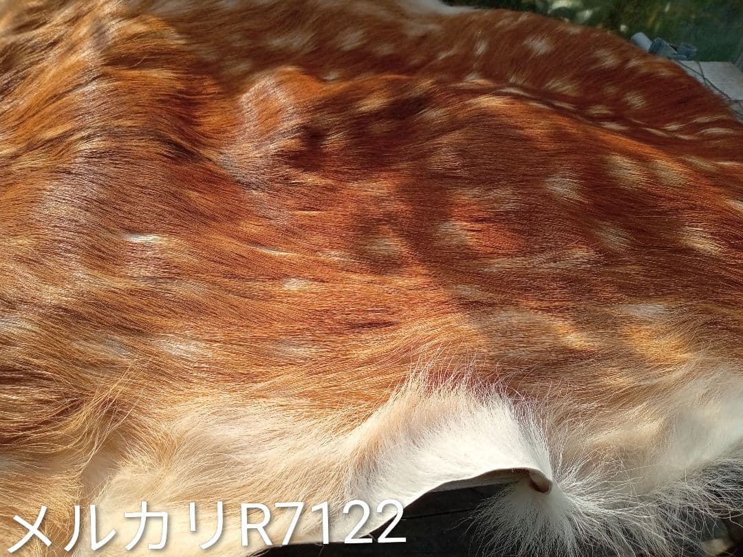 天然　日本鹿　夏毛ラグ