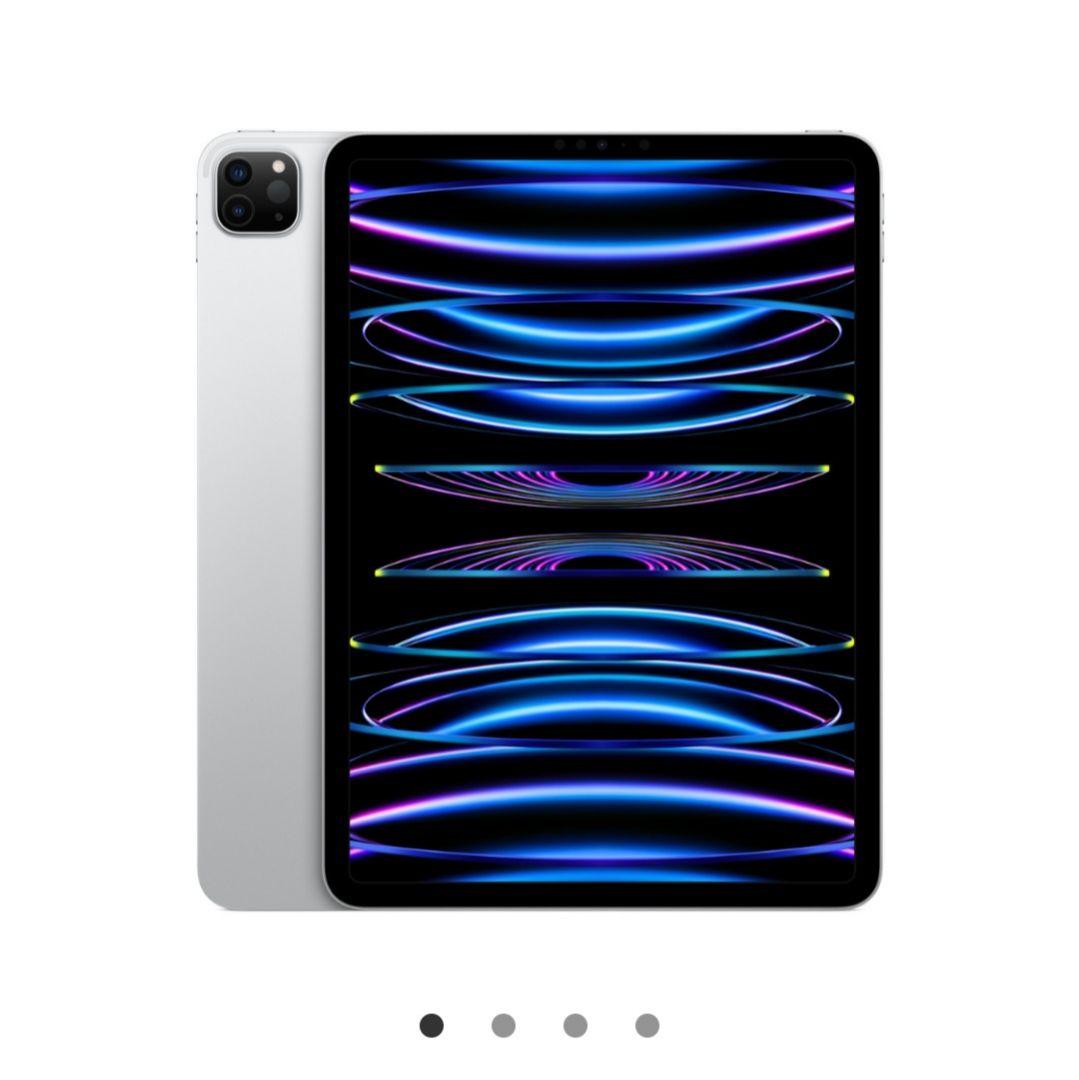 iPad Pro 11インチ 第4世代 /Apple Pencil 第2世代