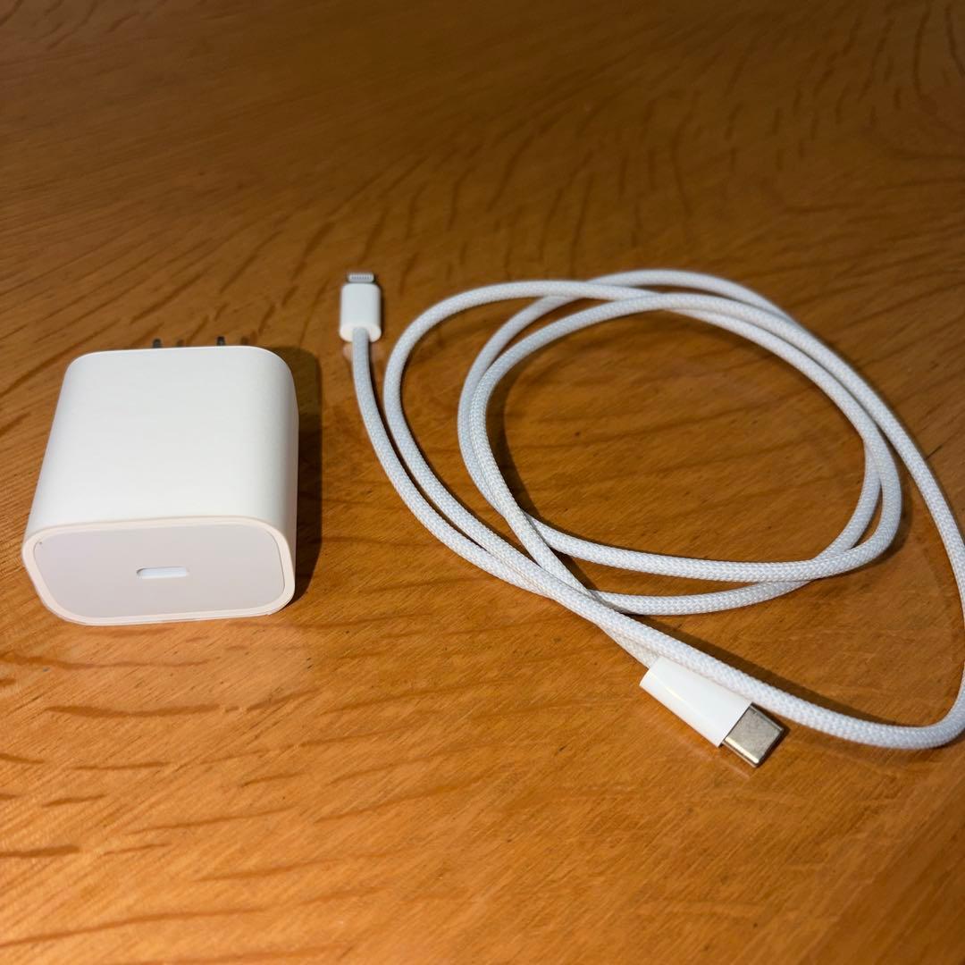 Apple iPad A1893 シルバー