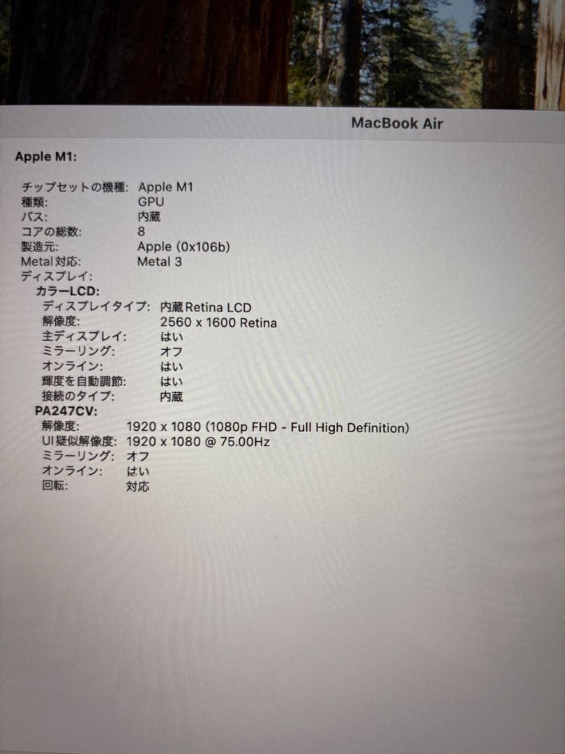 2020 M1 MacBook Air 16GB/ 512GB GPU8コア