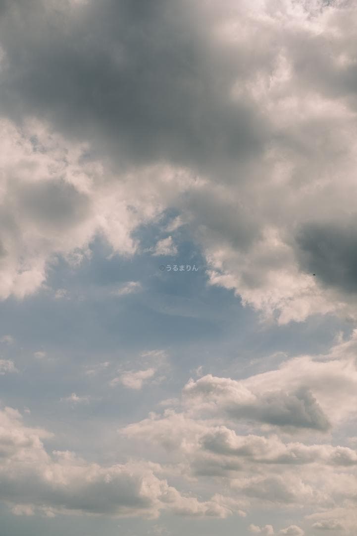 ライカの神マクロ！Leica Elmar 65mm F3.5 Visoflex