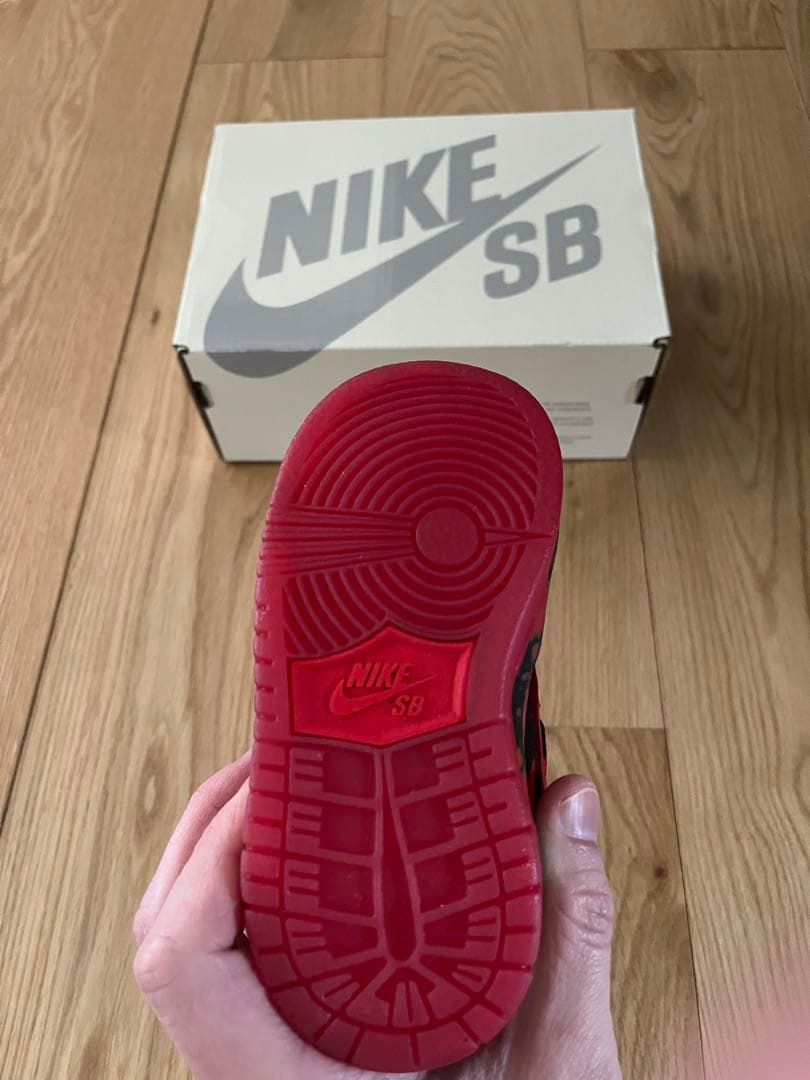 オズの魔法使い × ナイキSB TDダンクロー \"ポピーフィールド\"【即購入可】