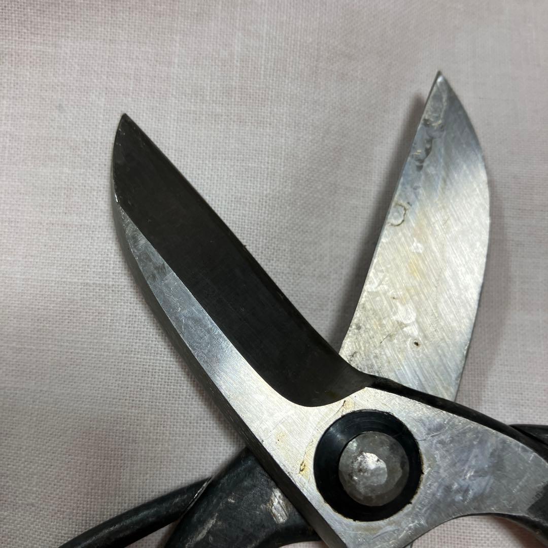 国治作花鋏 専用ケース付き