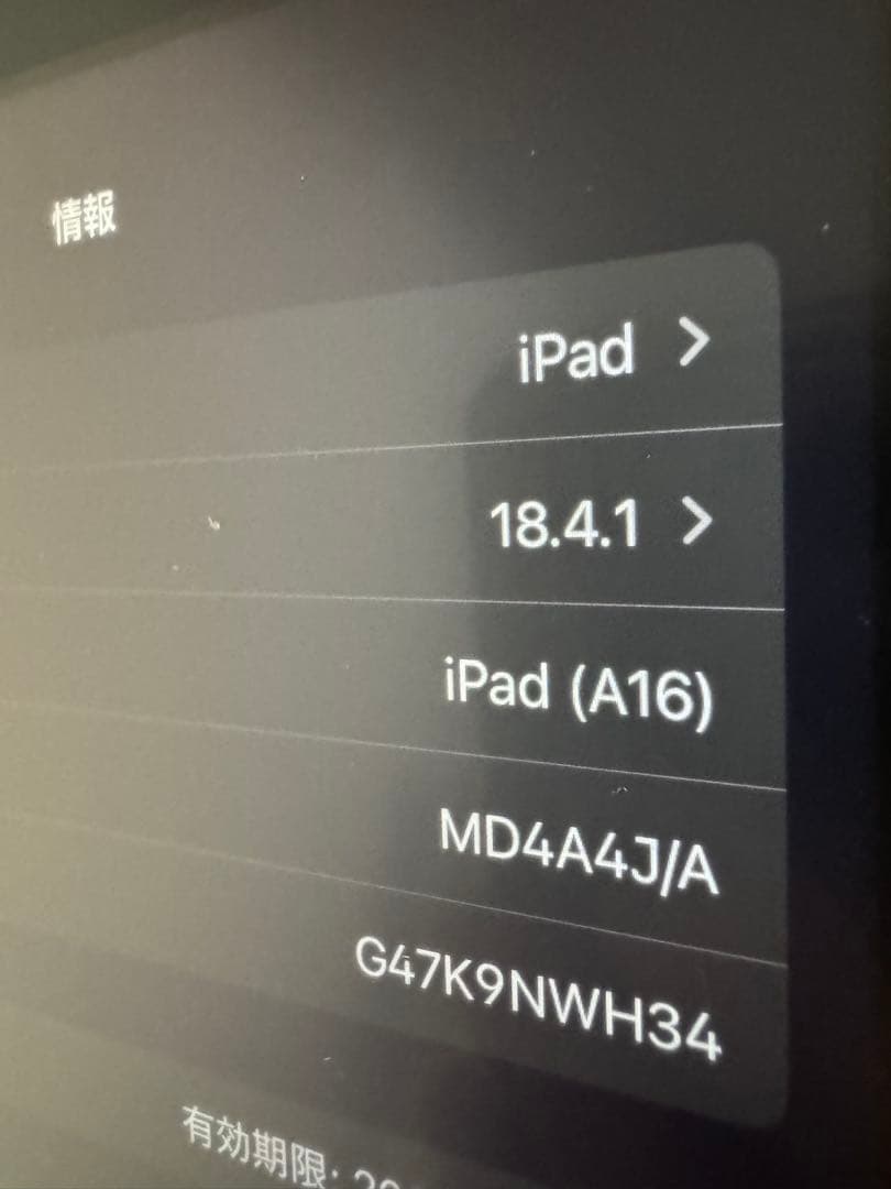 iPad 第11世代 A16 Wi-Fiモデル 128GB ブルー 本体