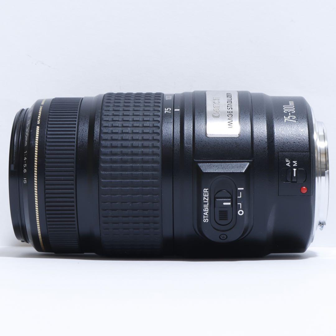 ◇超望遠&高速AF&手ブレ◇ Canon純正 75-300mm IS◇