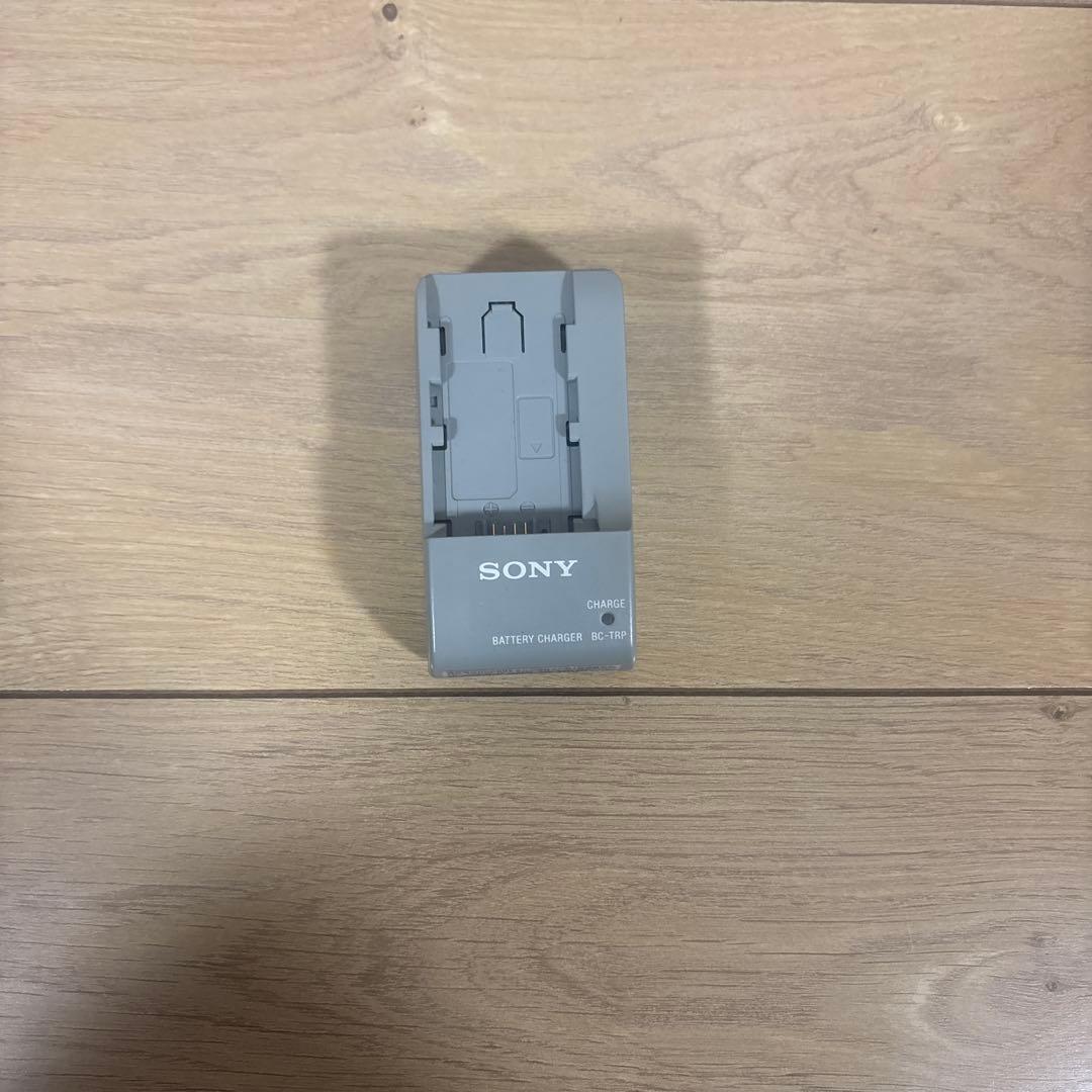 【動作品】 美品 SONY Handycam DCR-SR100 シルバーソニー