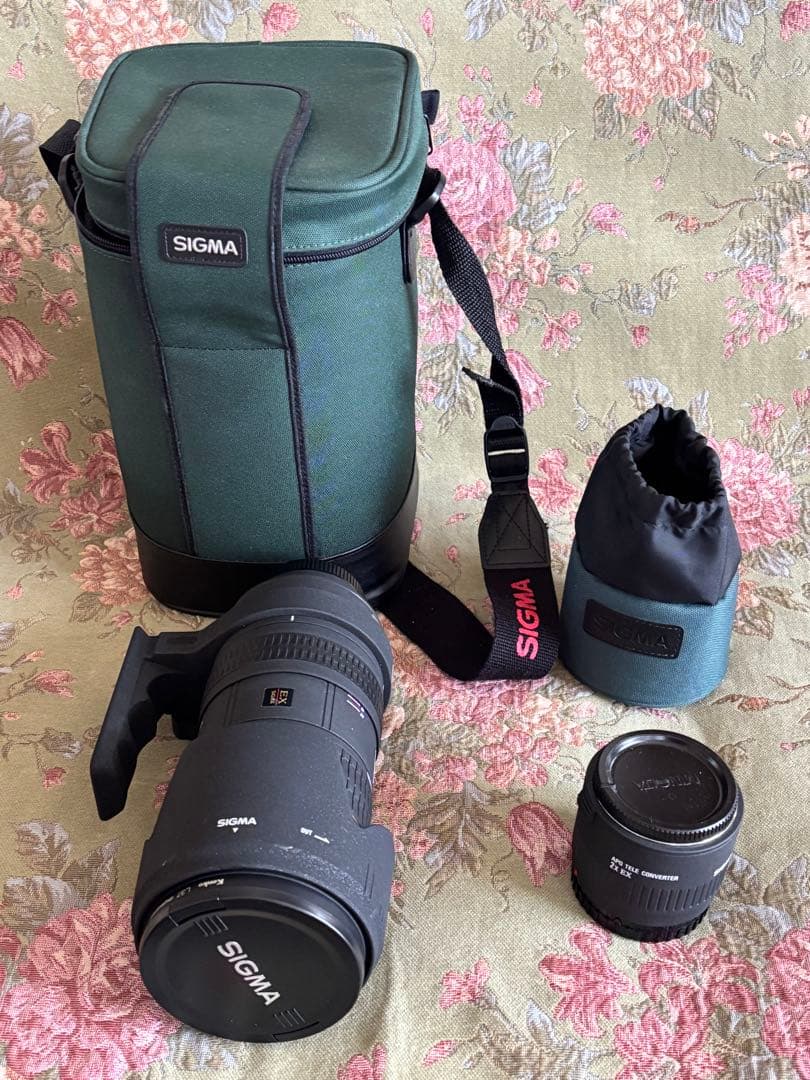 SIGMAシグマ 望遠ズームレンズ APO 50-500mm F4-6.3 EX