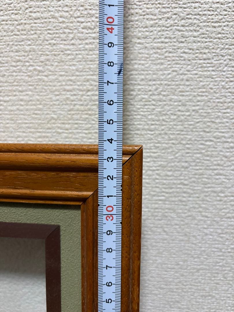 イワナ　剥製