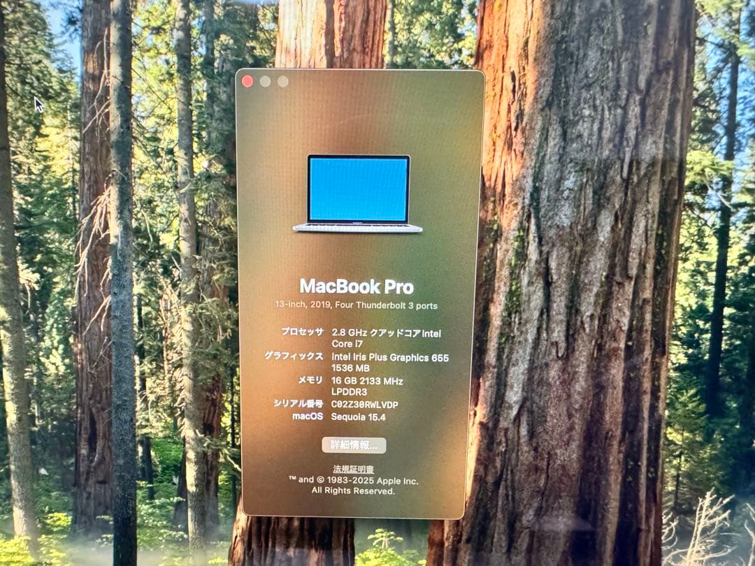 MacBook本体 MacBook Pro (2019) Corei7 16GB 2TB SSD