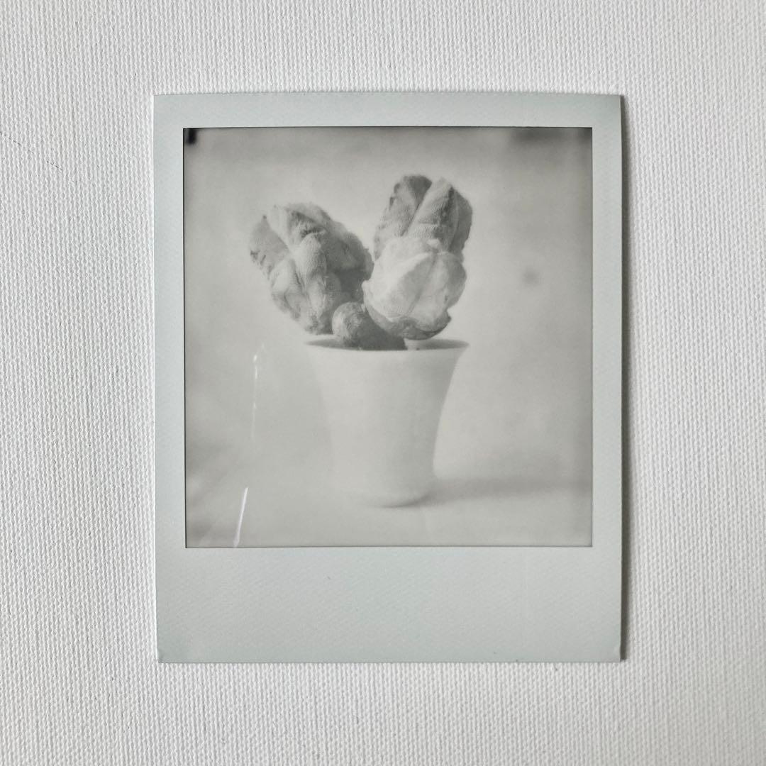 美品 Polaroid SX-70 白茶 整備済 レザーケース付き ポラロイド