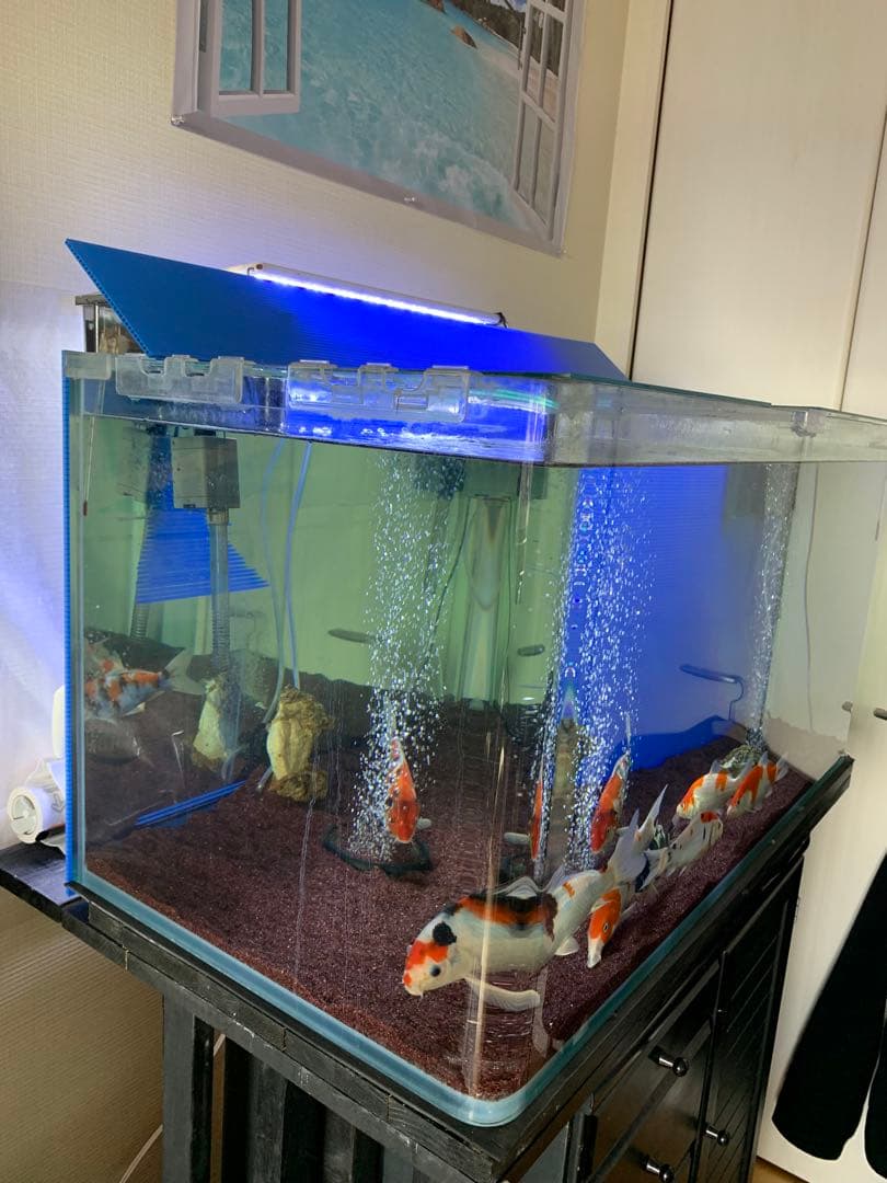 水槽コトブキ　90cm