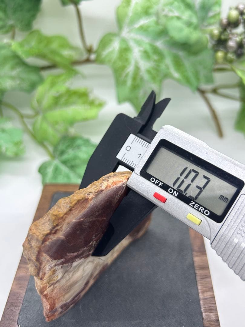 珪化木プレート　ペトリファイドウッド　No.871