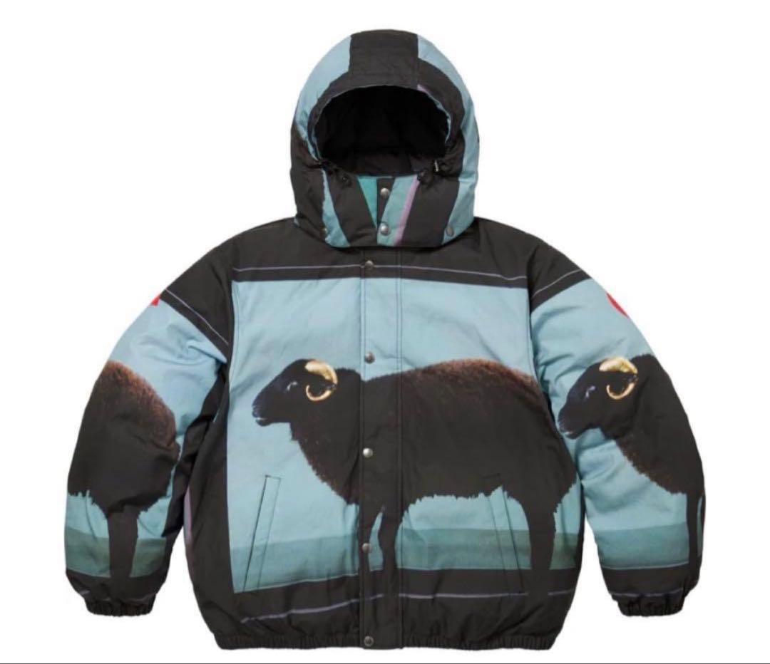 ジャケット・アウター Supreme Damien Hirst Down Puffer Jacket