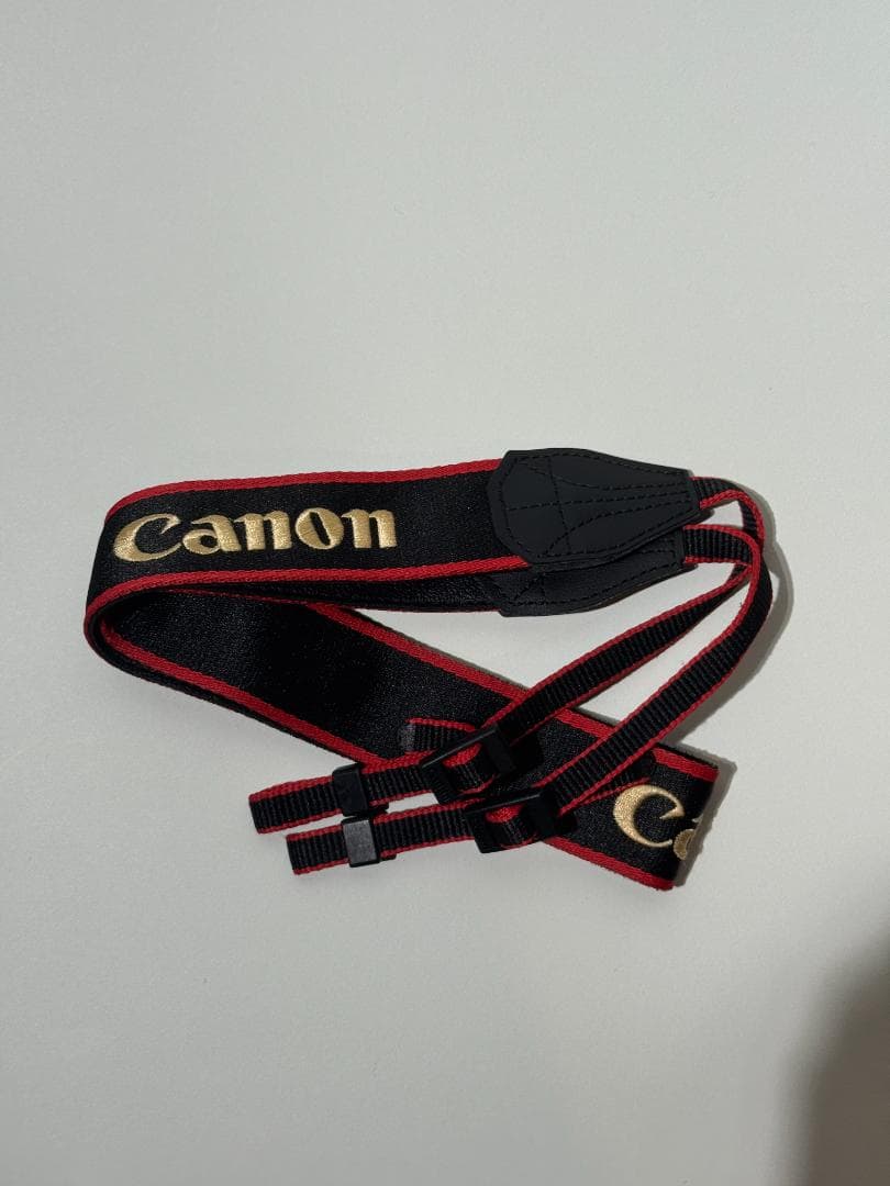 【最終値下げ・おまけ付】Canon EOS R3 ミラーレスカメラ 本体