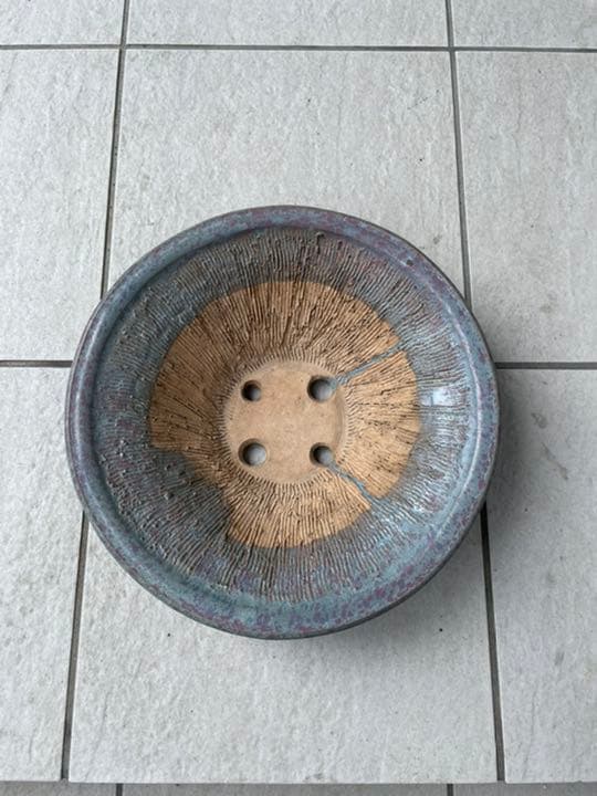 盆栽鉢　秀峰