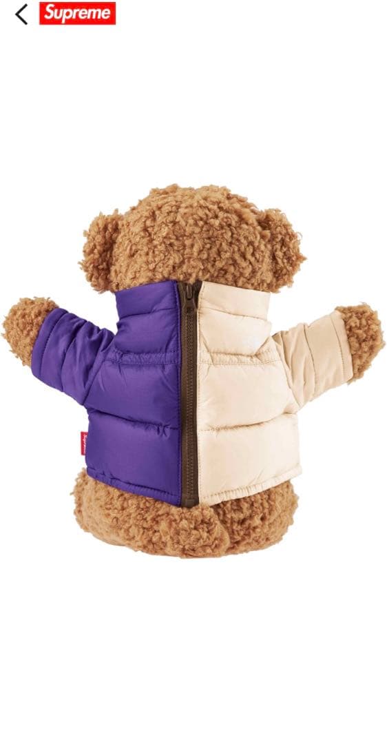 【完売・希少コラボ】Supreme x The North Face Bear