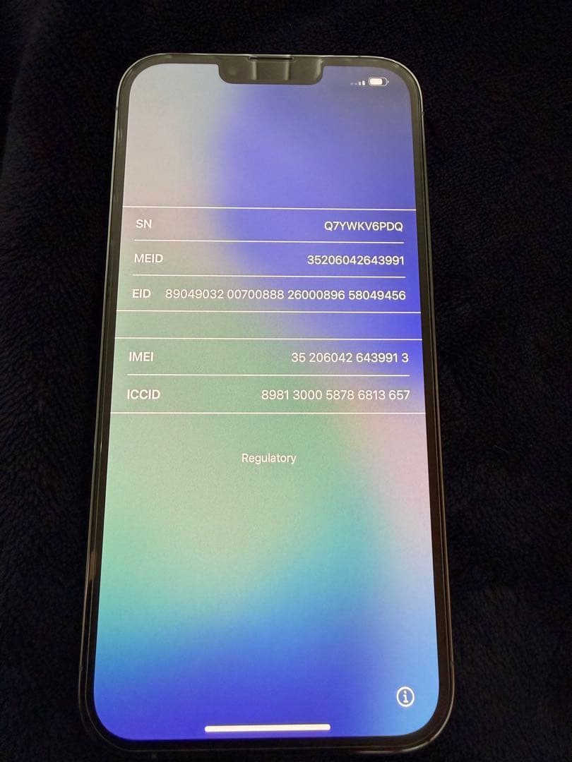 や*ん様 Apple iPhone 13 Pro Max 256GB ブルー