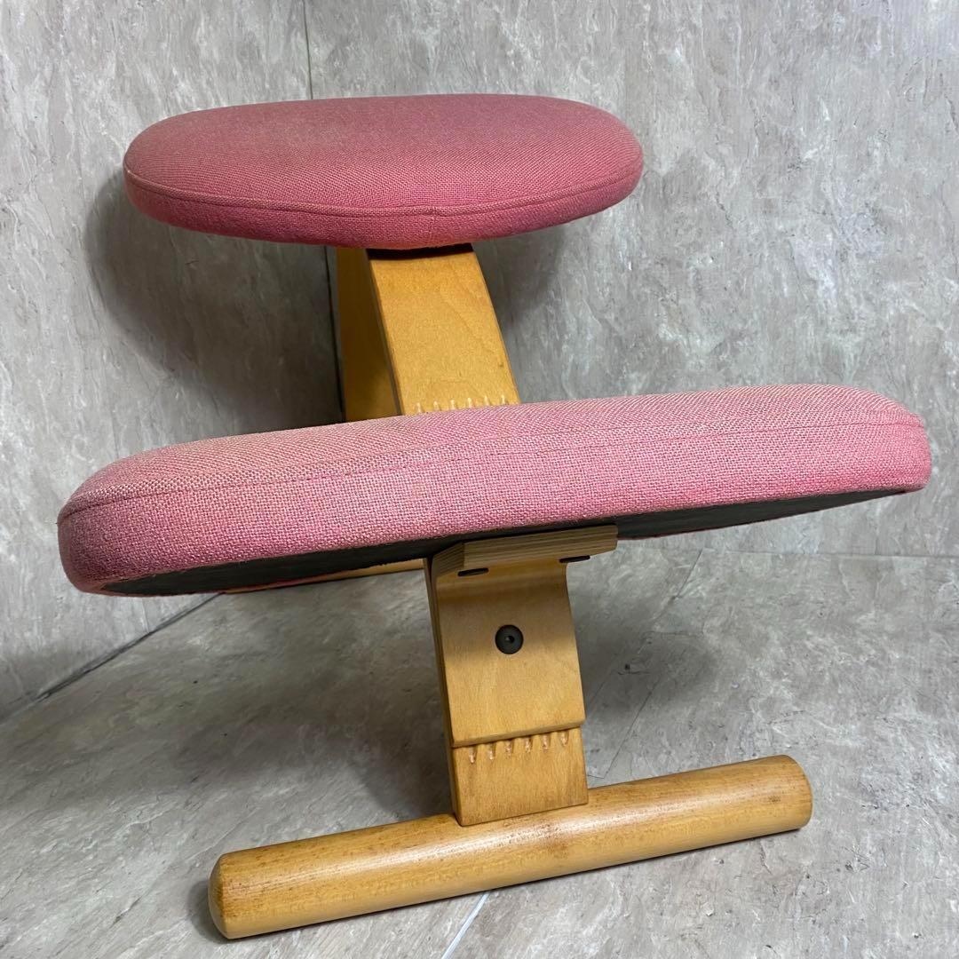 Rybo リボ社 Balans Easy バランスイージー ピンク 新品カバー付