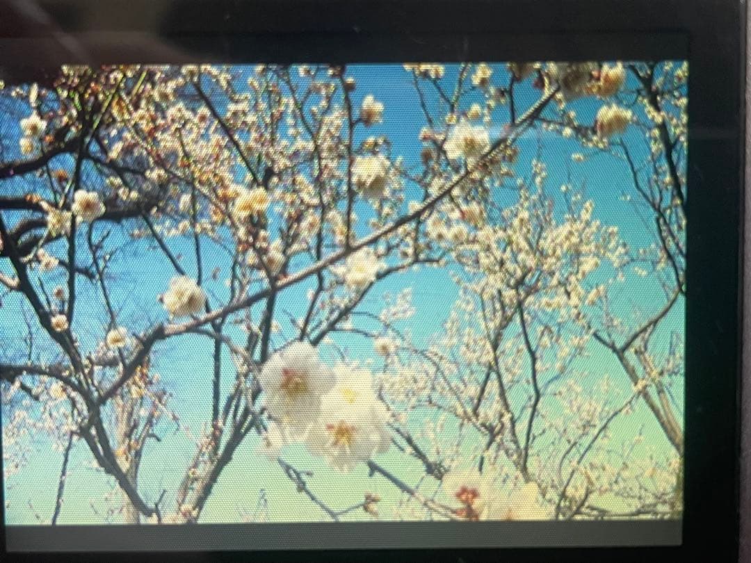 【動作確認済み】Panasonic LUMIX DMC-FX30 付属品付