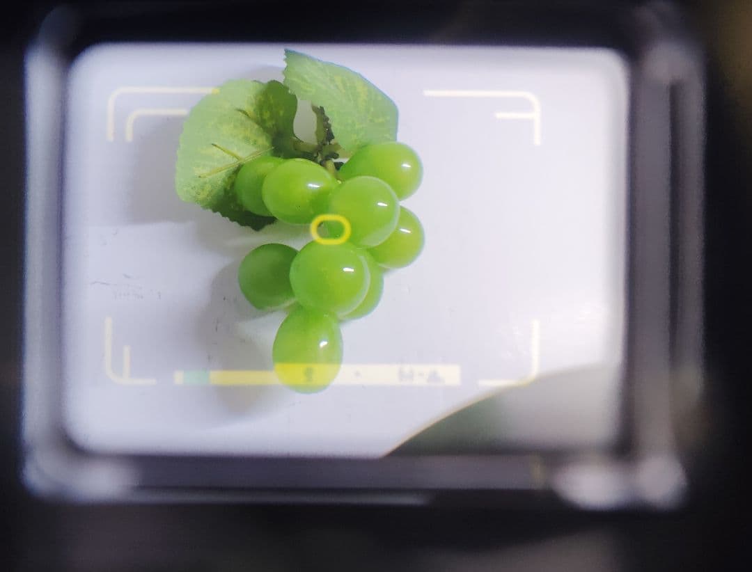 CANON　AF35M（動作美品）