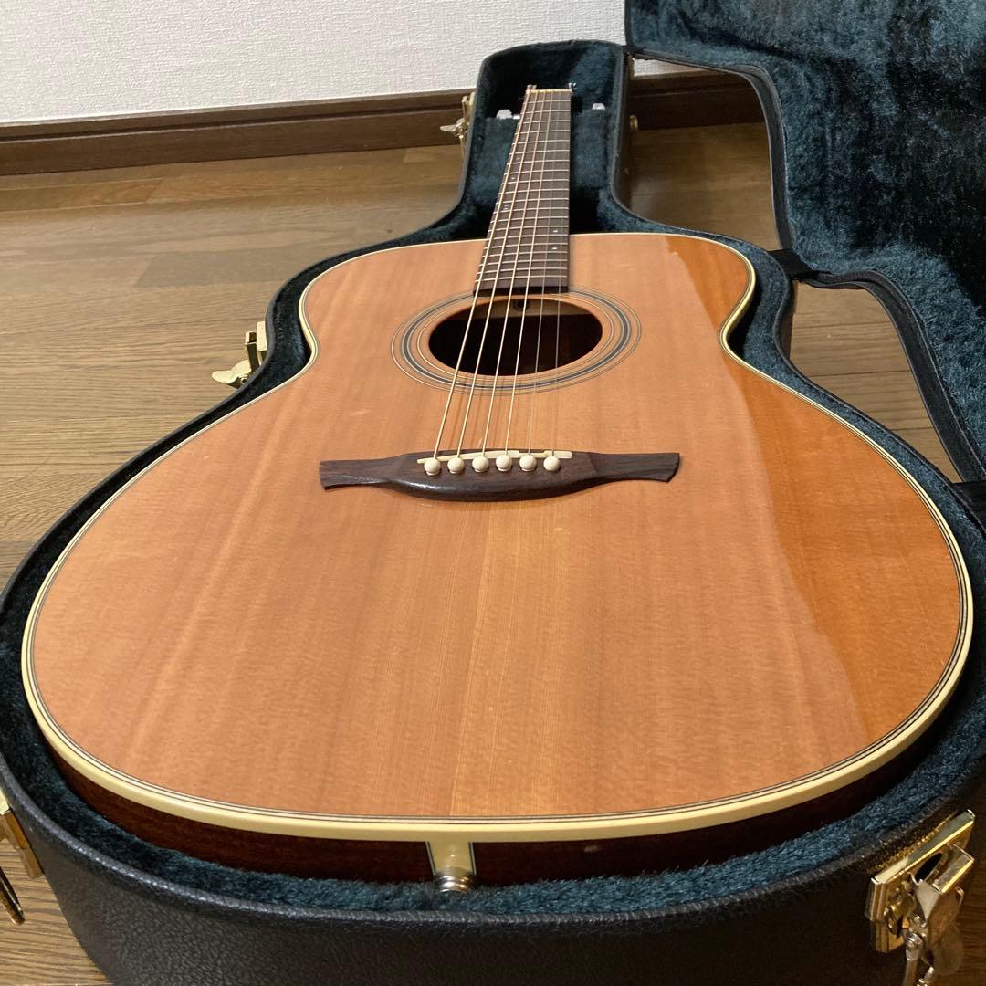 HISTORY NT-S4 【初期モデル・オール単板・寺田楽器ハンドメイド】