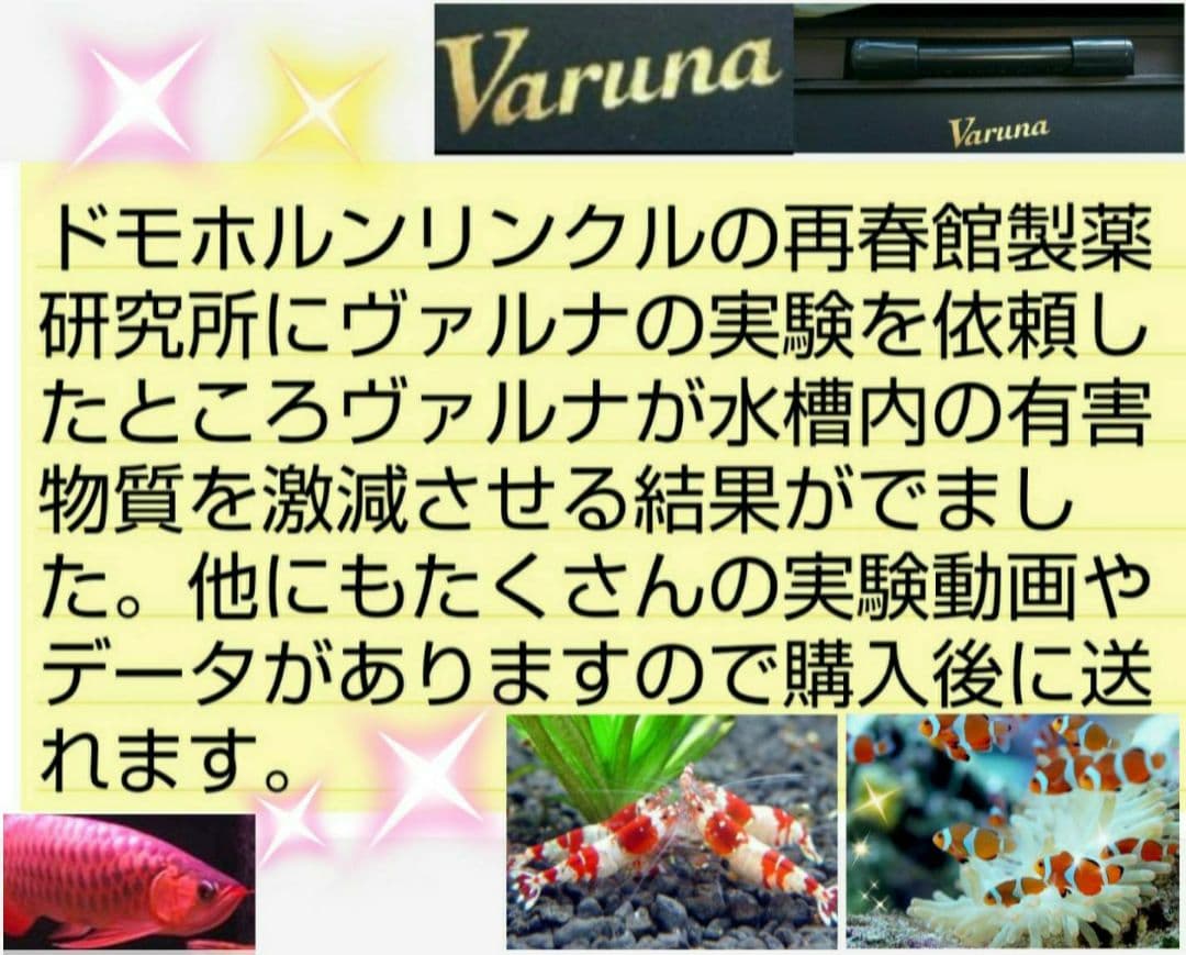 ヴァルナミニ　23センチ　水槽の透明度が抜群に！有害物質強力抑制！水替え不要に！