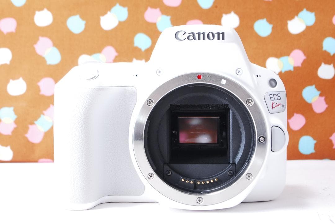✨超絶美品✨Wi-Fi搭載✨Canon Kiss X9 レンズセット