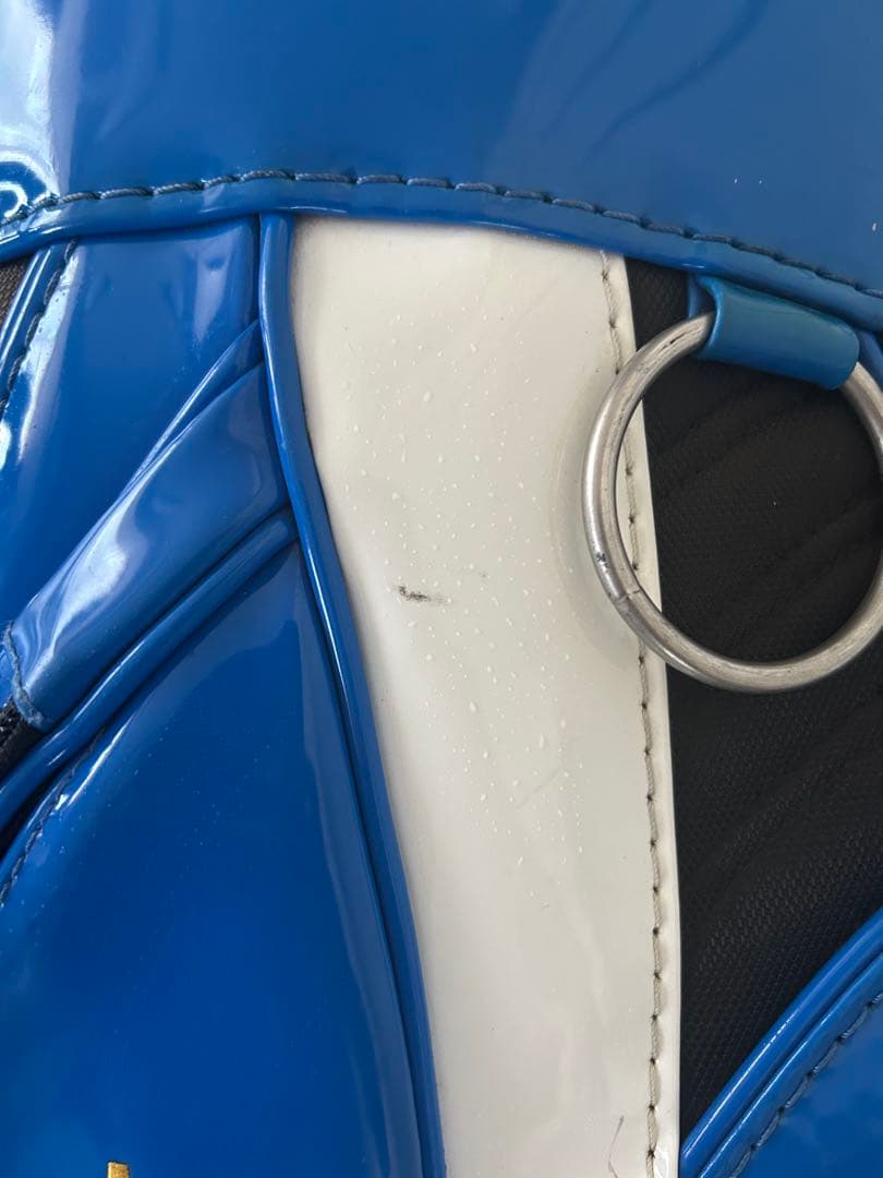 Gauge Design キャディバッグ（ヘッドカバー付）