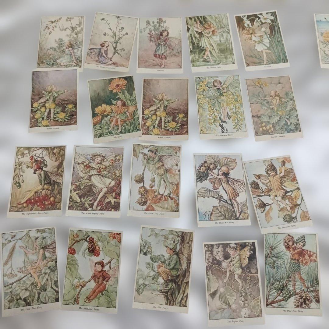 森永ハイクラウントカードセット