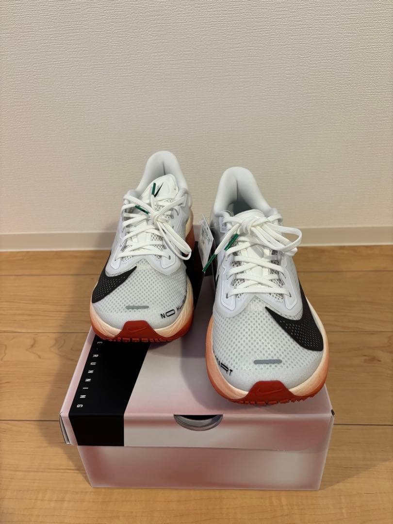 新品未使用ナイキズーム フライ6 \"Eliud Kipchoge\"