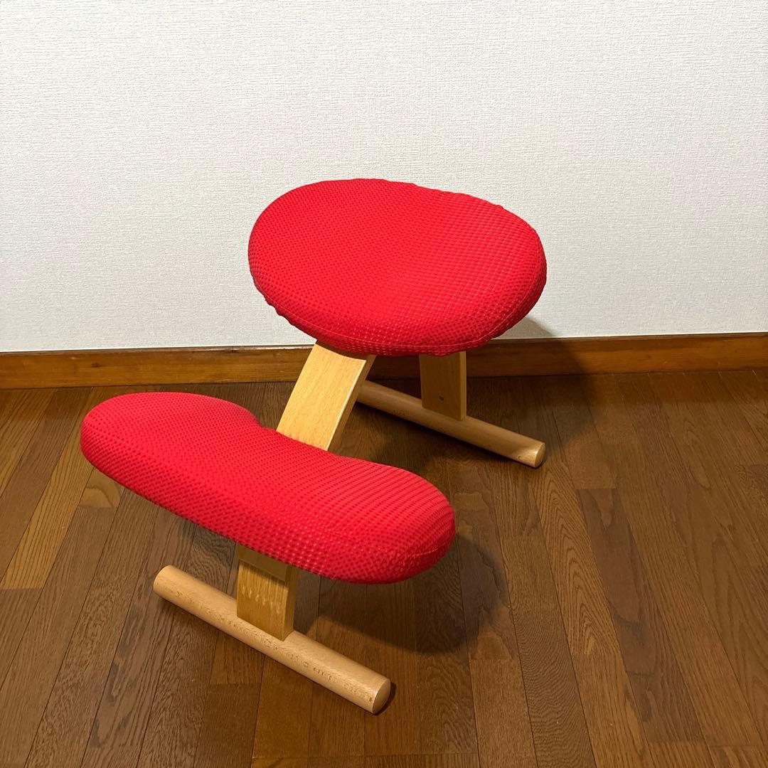 【極美品】 バランスイージー レッド 通常フレーム 防水カバー付き