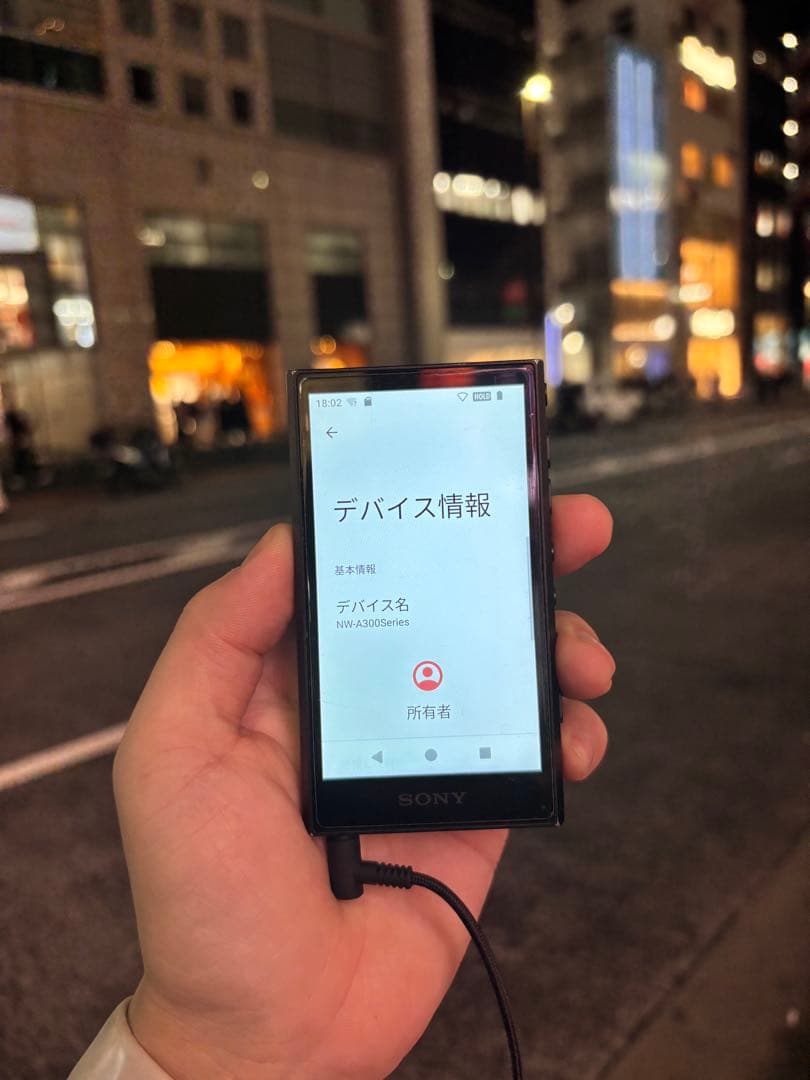 SONY Walkman NW-A306 （32GB）