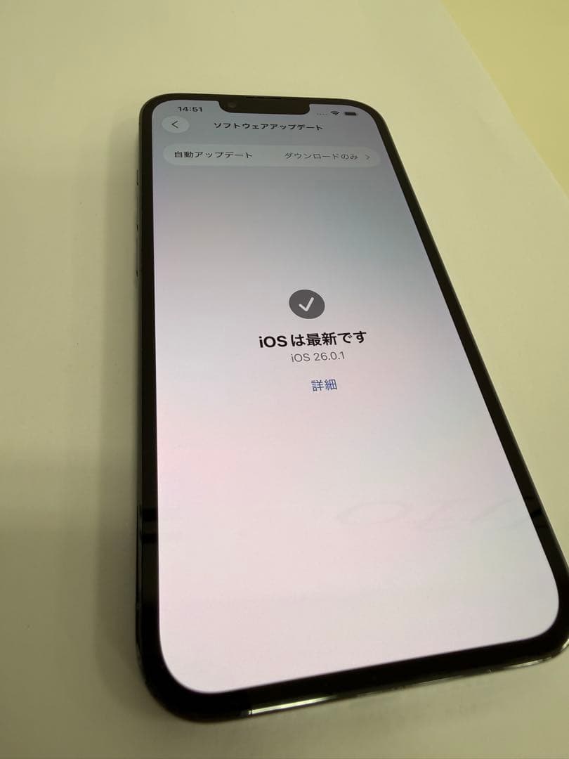 【美品】iPhone13pro／256G／シエラブルー／完済済み／SIMフリー