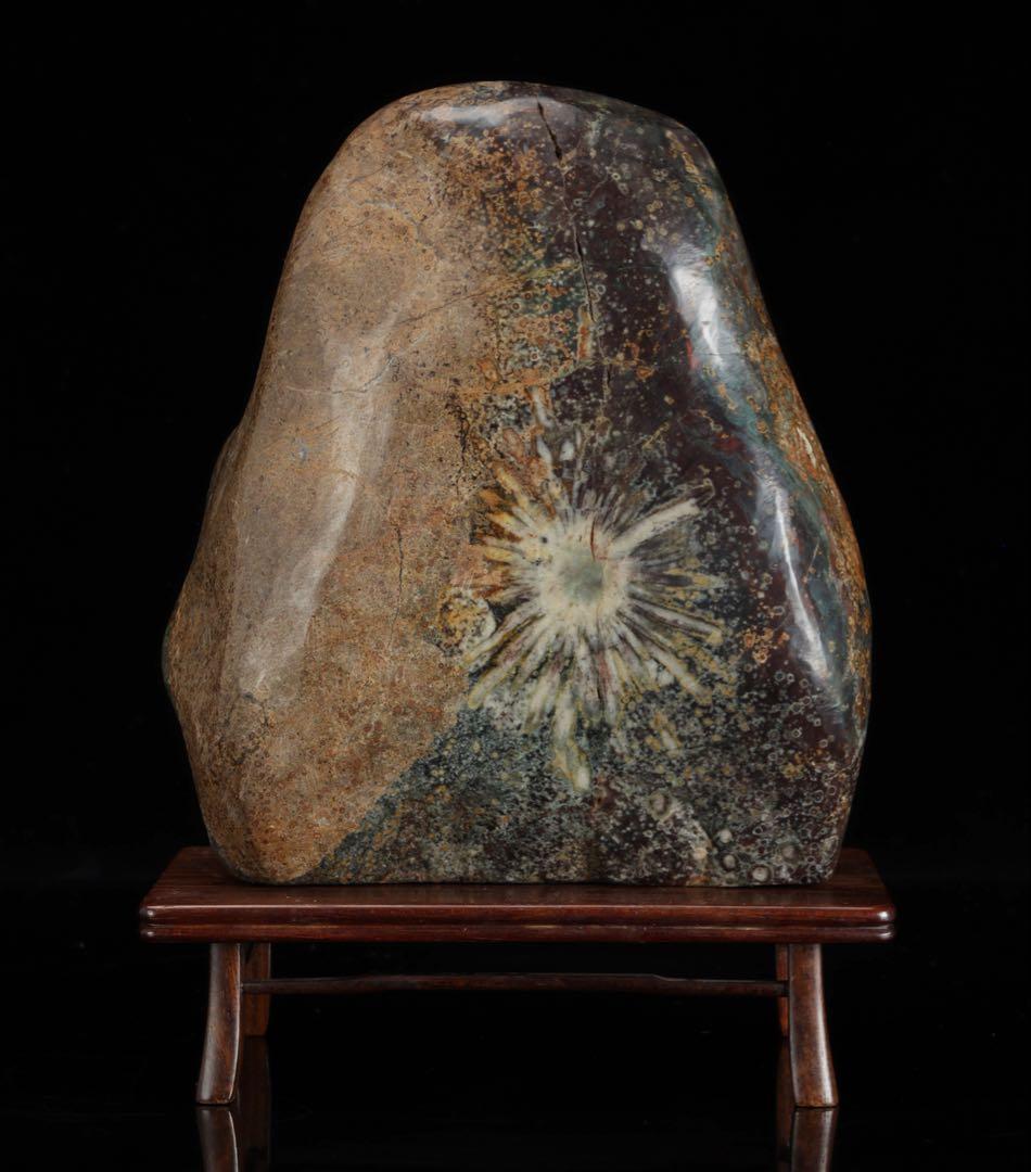 菊花石 白菊 紋石 台座付 1.4kg 鑑賞石 原石 天然石 水石 盆石 鉱物