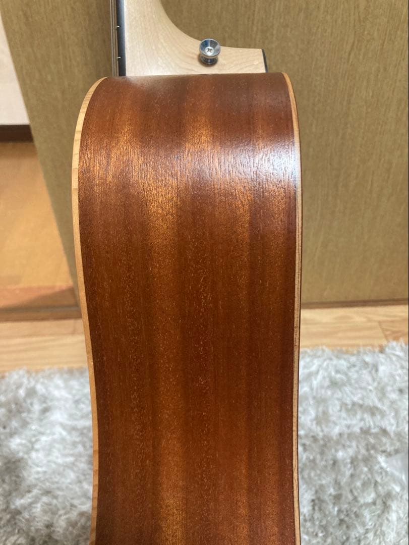 Taylor Academy 10e エレアコ アコースティックギター テイラー