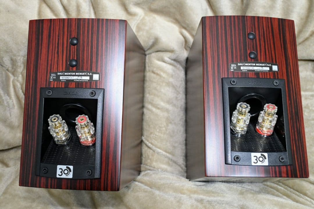 ★美品 ダリ Mentor menuet SE スペシャル 30周年記念版