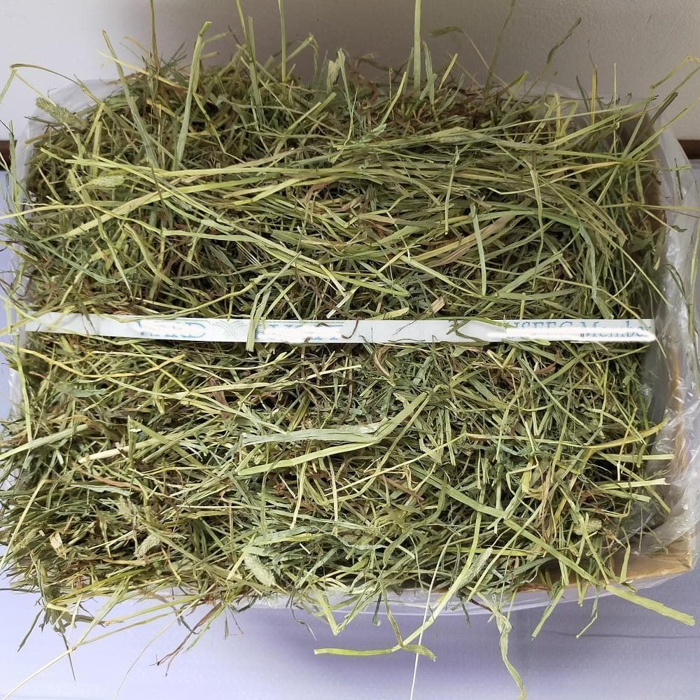 【家計応援価格】US産 チモシー 100kg ２番刈 ソフトSプレミアム