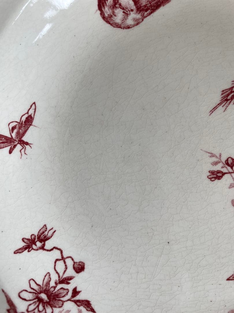 HB&C francais 小鳥 深皿 アンティーク