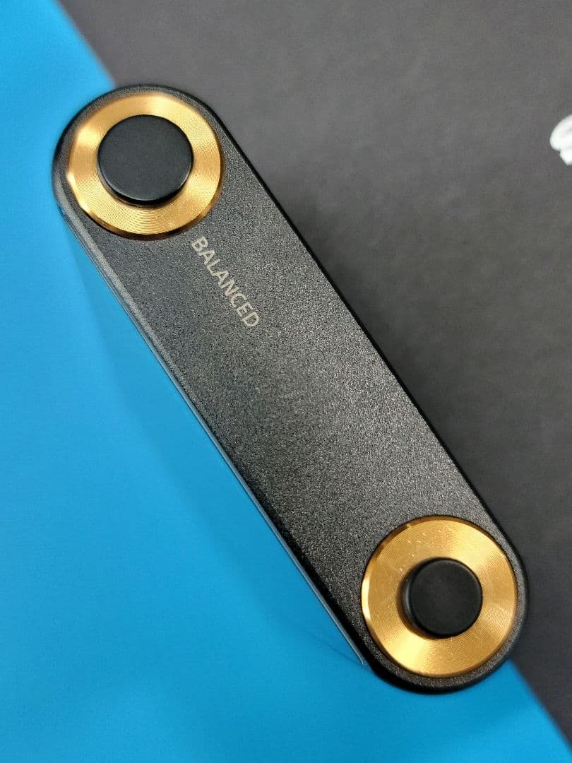 SONY WALKMAN NW-WM1A + 純正本革ケース