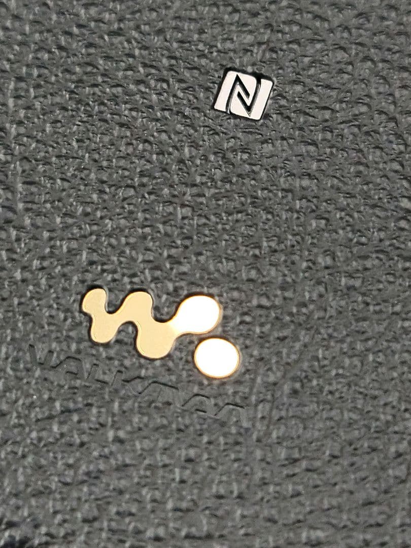 SONY WALKMAN NW-WM1A + 純正本革ケース