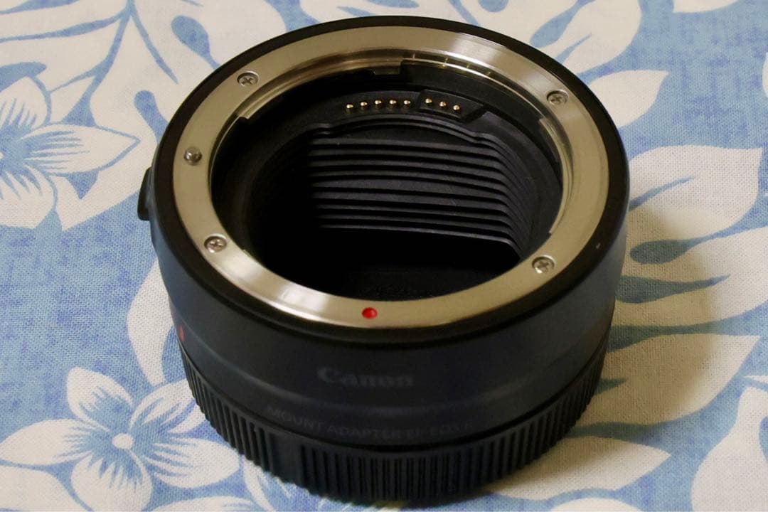 Canon EF 17-40mm f/4L とEF-EOSRセット