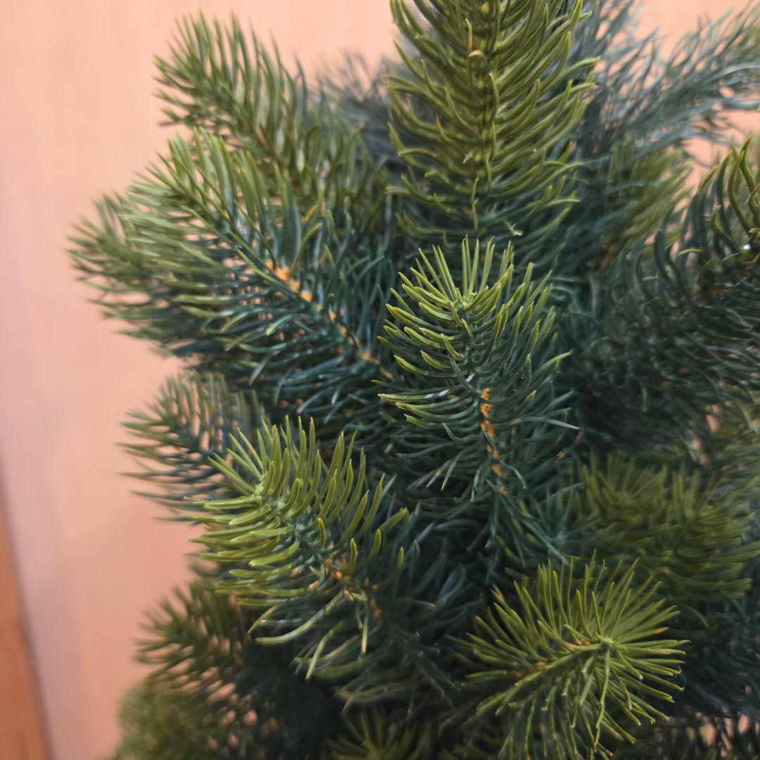 RS GLOBAL TRADE社クリスマスツリー グローバルトレード社 90㎝