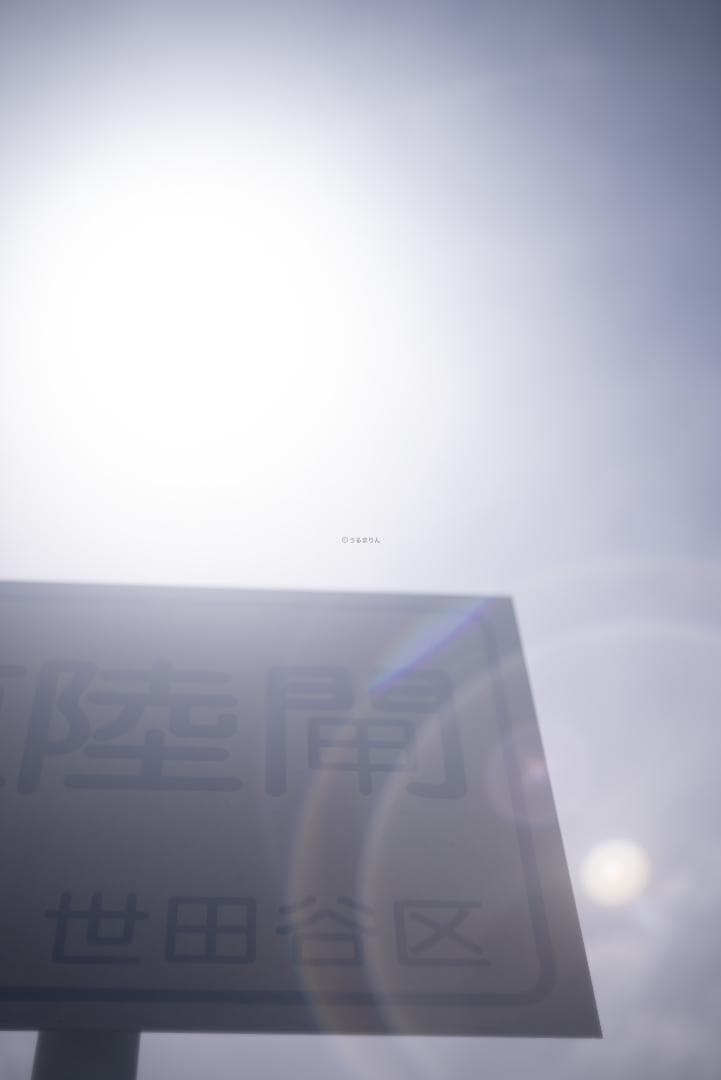 良品！山崎ズマール！Leica Bluecoted Summar 50mm F2