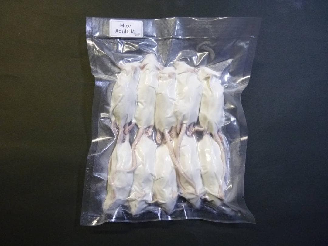 ★ひでとら★国産冷凍マウス　アダルトLL 40匹　アダルトM 20匹