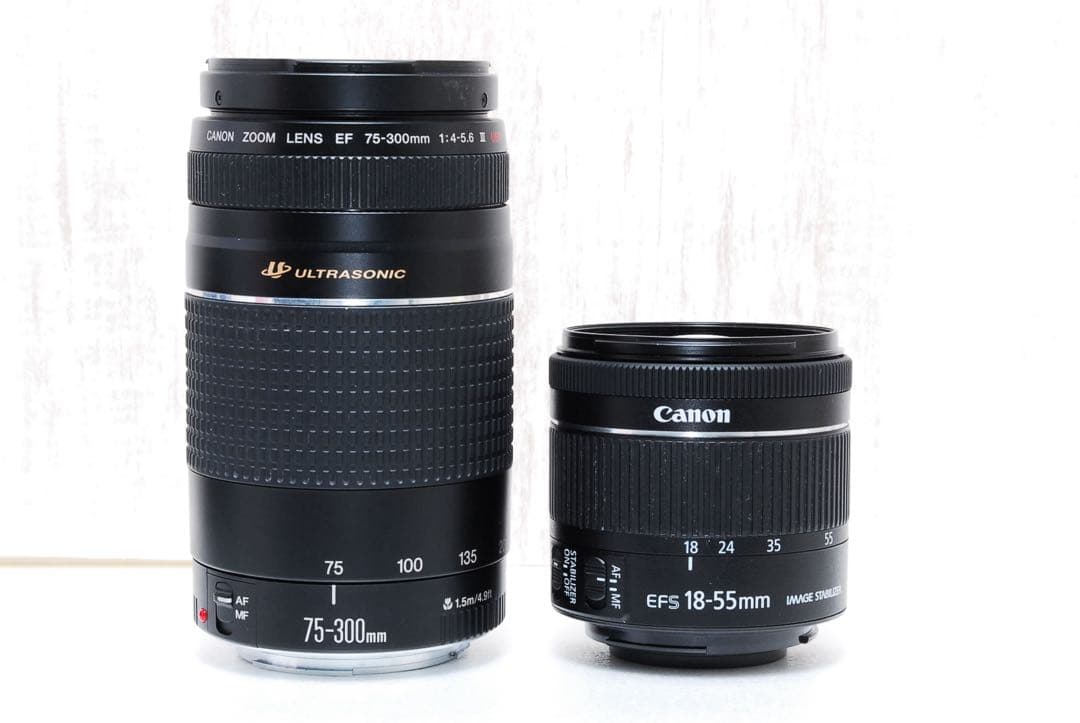 ✨美品✨取扱説明書付✨すぐ使える✨ダブルレンズ Canon Kiss X9