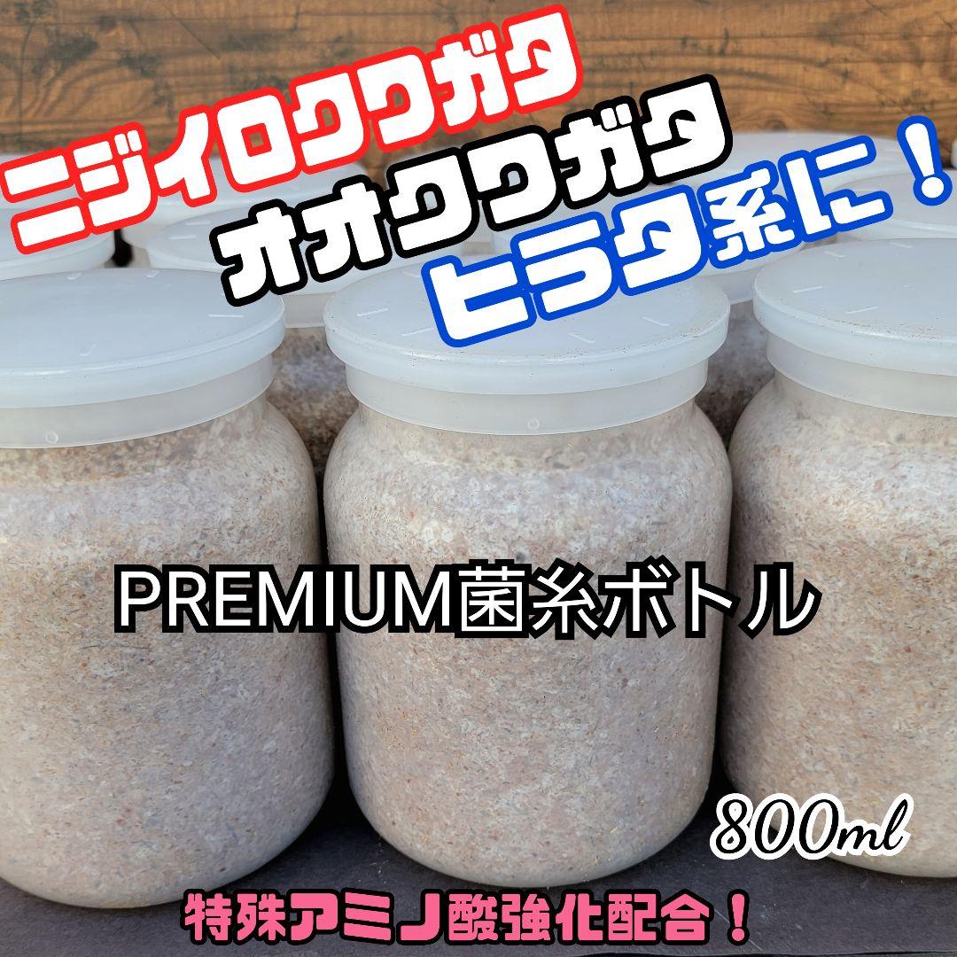 極上！ヒマラヤひらたけ菌糸瓶　800ml【10本】ニジイロクワガタにお薦め！