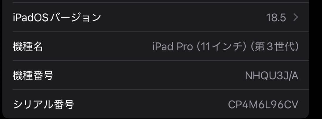 ipad pro 11インチ 第3世代 256GB wifiモデル