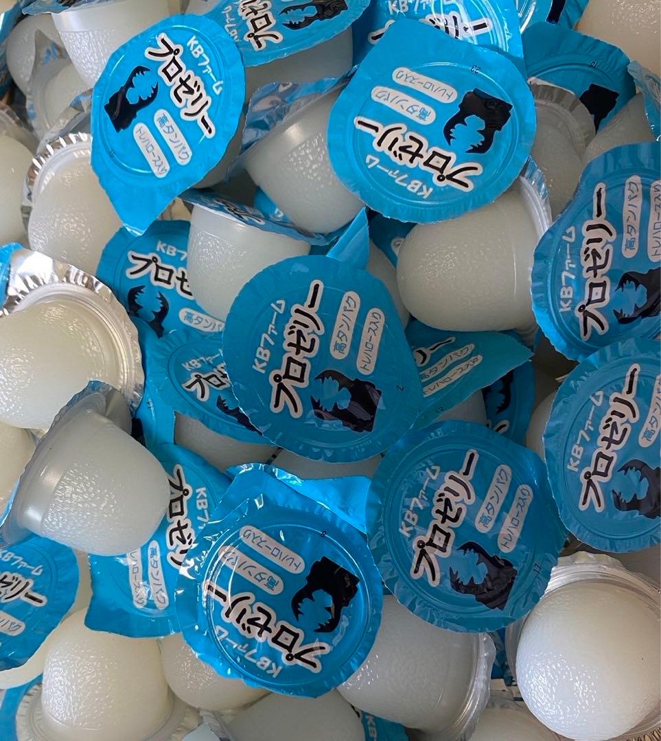 国産プロゼリー6000個KBファーム・カブトムシ　クワガタ 【木ぼく】