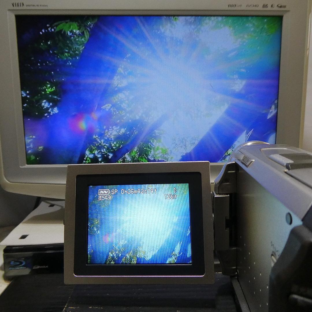 動作良好 パナソニック NV-DS1 MiniDVビデオカメラ ダビングに最適