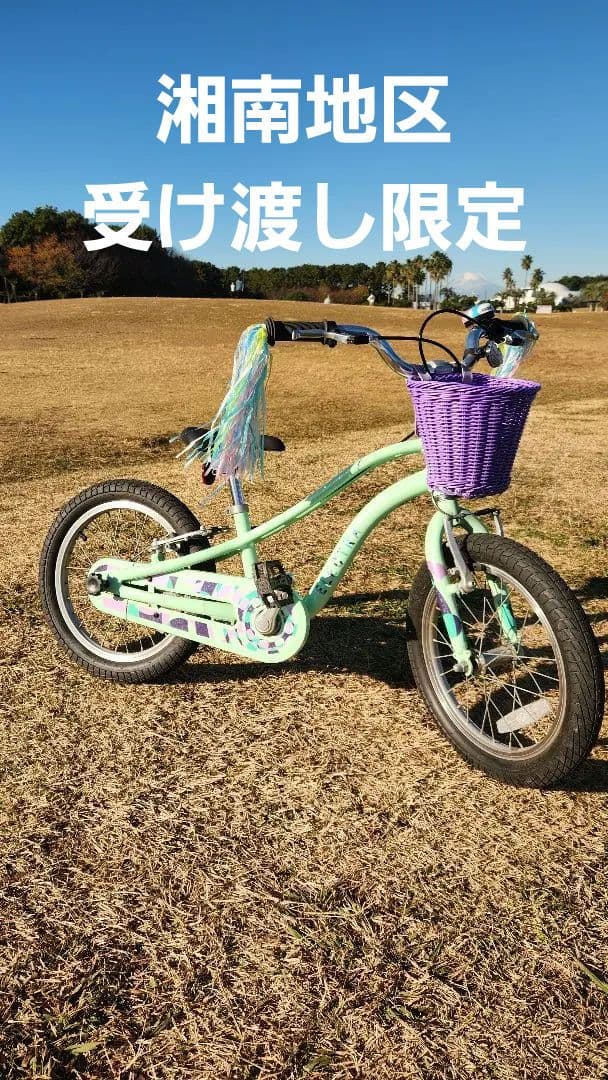 ELECTRA SPROCKET 16\" エレクトラビーチクルーザー